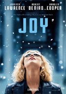 Joy (2015) DVDRip Full Movie Watch Online Free Download