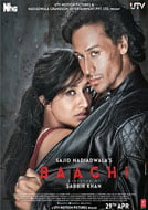 Baaghi (2016) Hindi Full Movies Watch Online Free Download