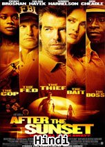 After the Sunset (2004) DVDRip in Hindi Dubbed Full Movie Watch Online Free Download