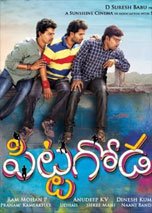 Pittagoda (2016) HDTVRip Telugu Full Movies Watch Online Free Download