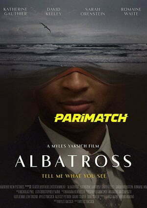 Albatross (2022) 720p WEB-HD [Hindi (Voice Over) + English]