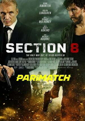 Section 8 (2022) 720p WEBRip [Hindi (Voice Over) + English]